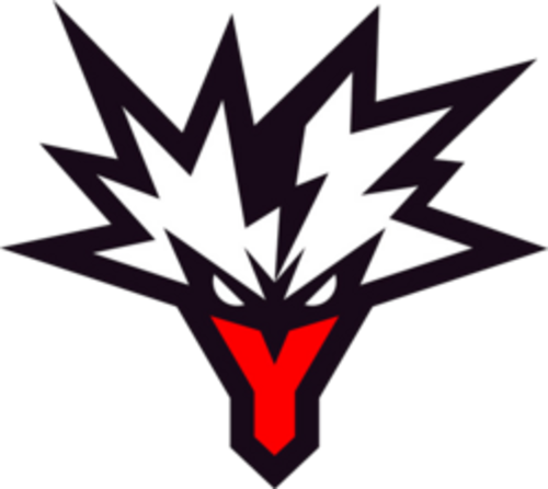 Team Yandex