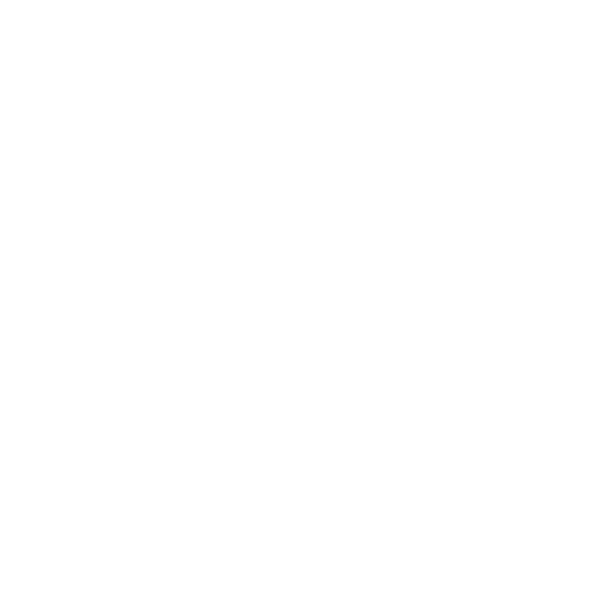 Team Spirit